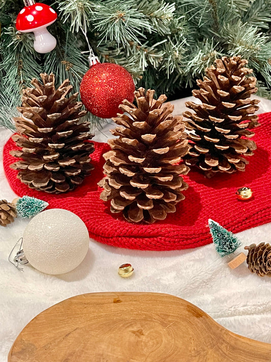 Pine Cones- Large- Set of 3