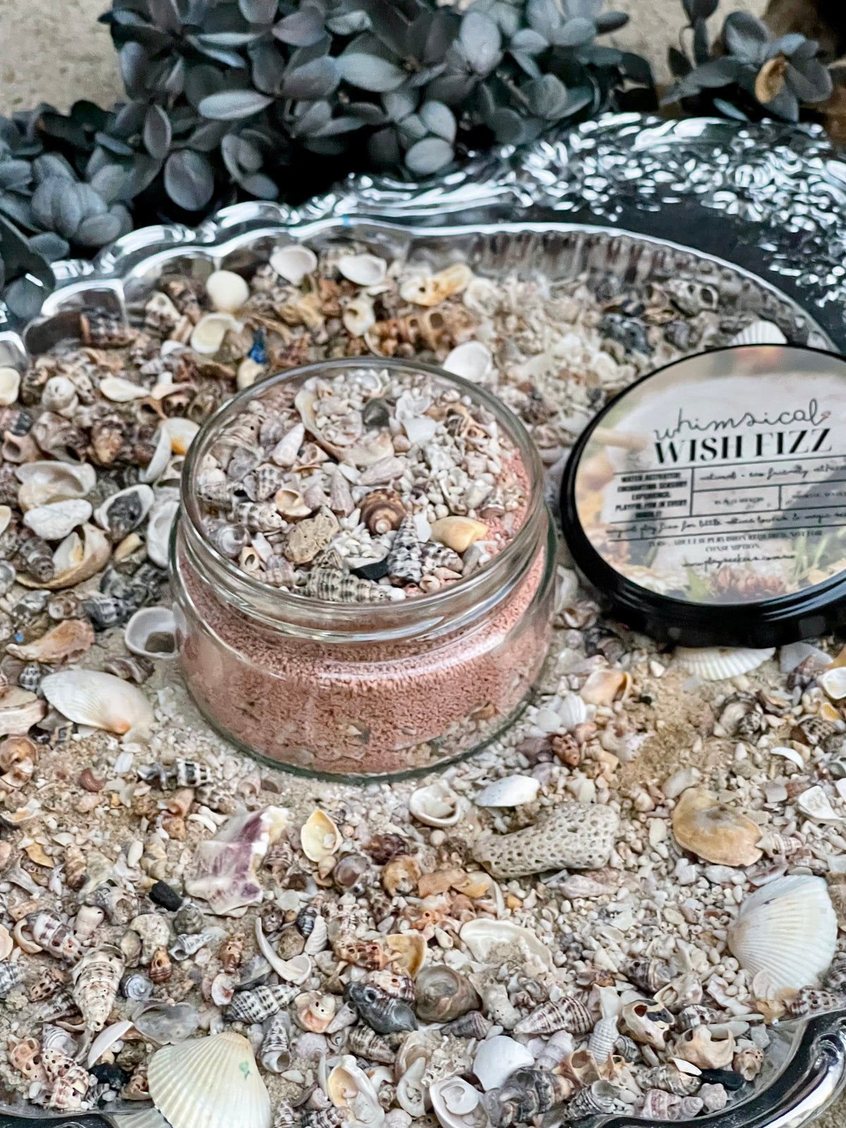 Shell Spell Wish Fizz - Acorn
