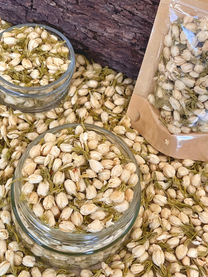 Dried Blooms- Jasmine
