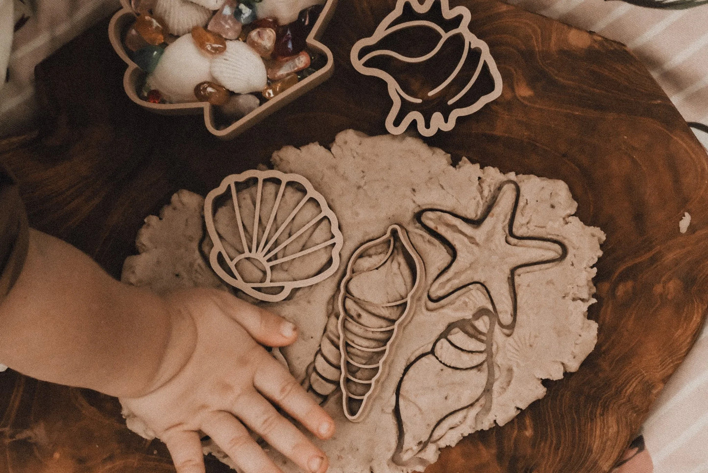 Sea Shell Eco Cutter Set