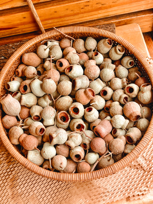 Gumnuts