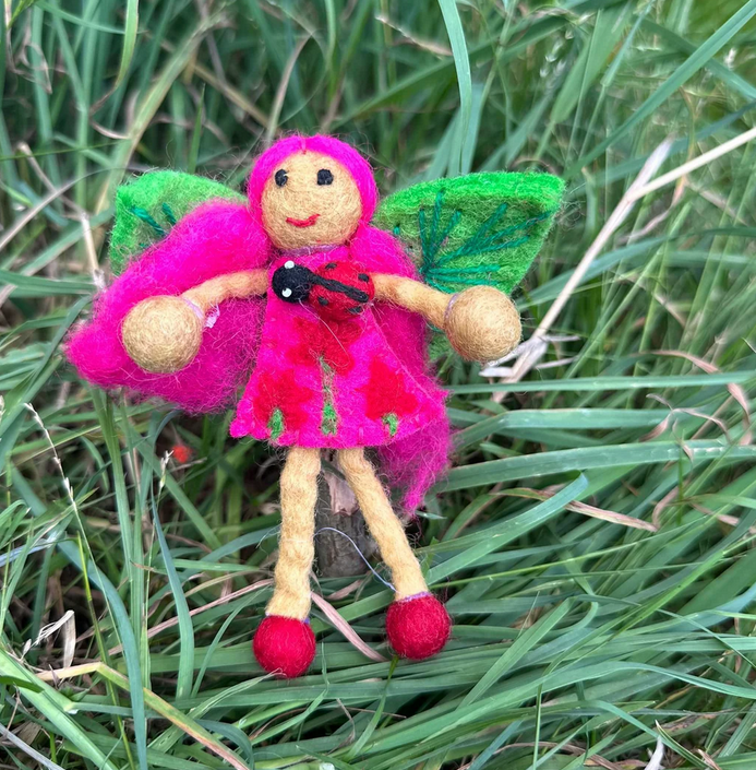 Ladybug Fairy