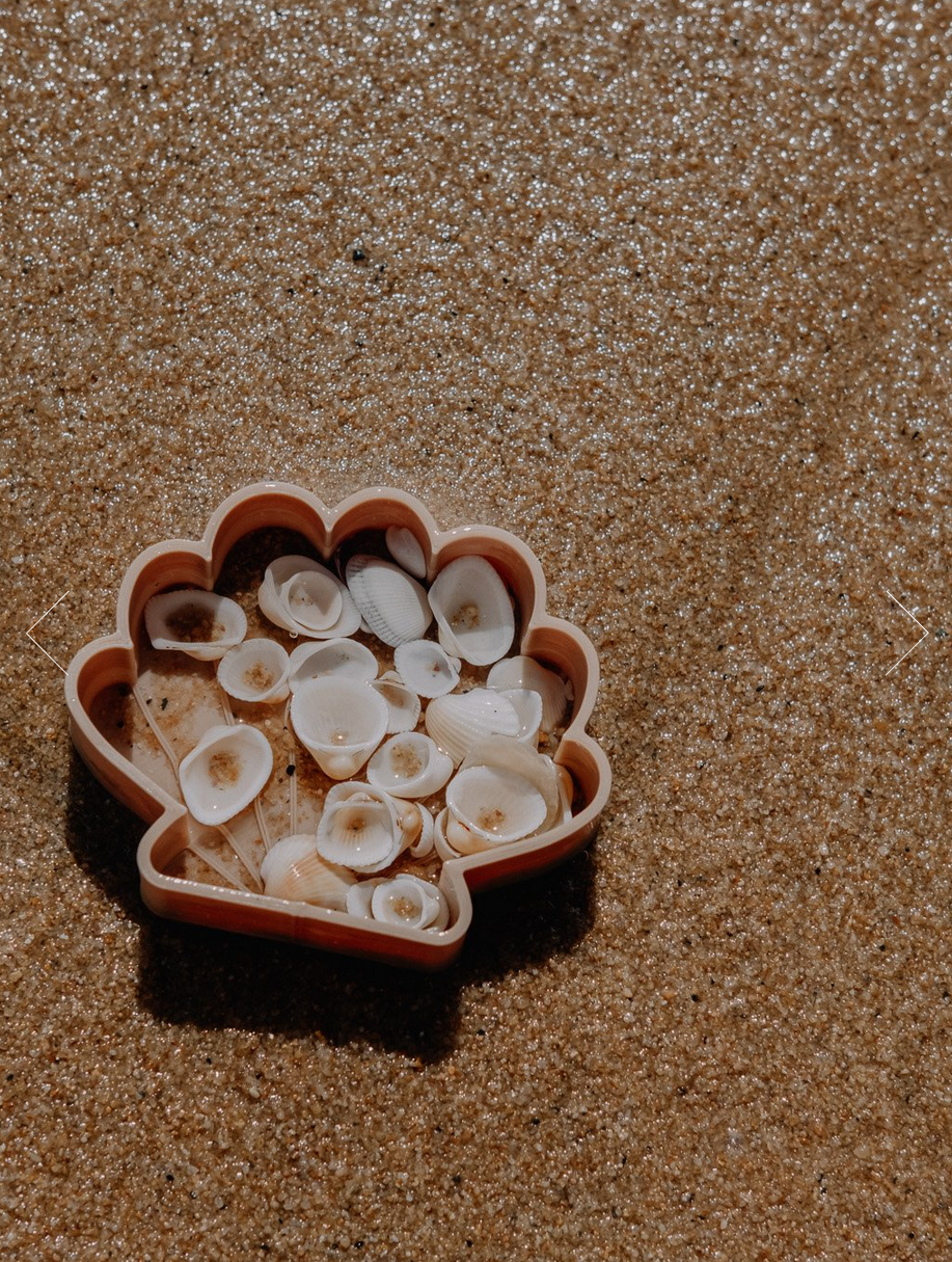 Sea Shell Eco Mould