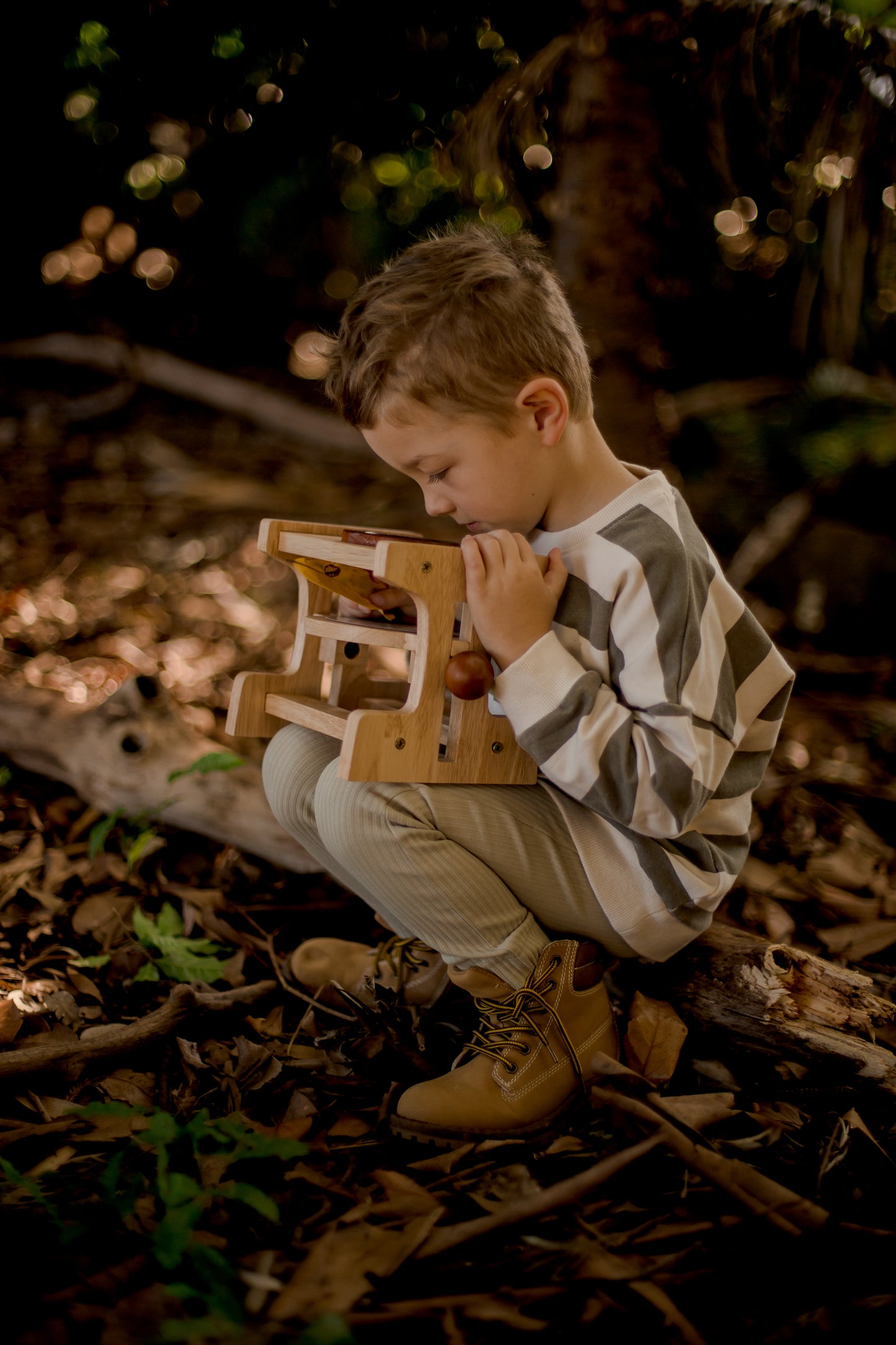 Wooden Microscope