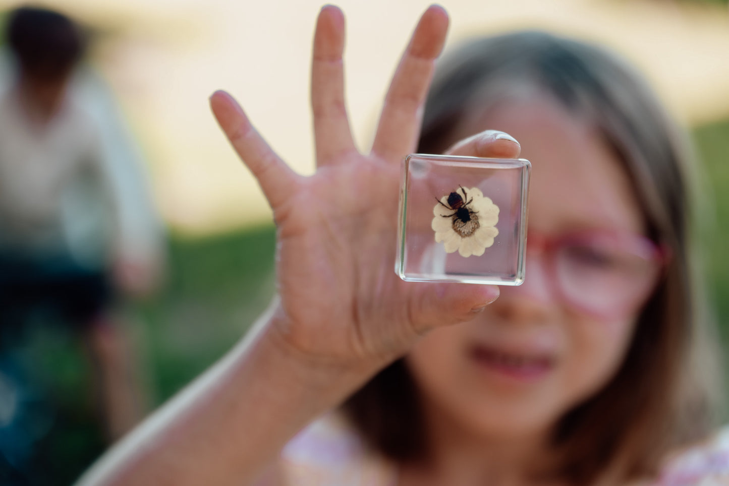 Bee and Flower Specimen