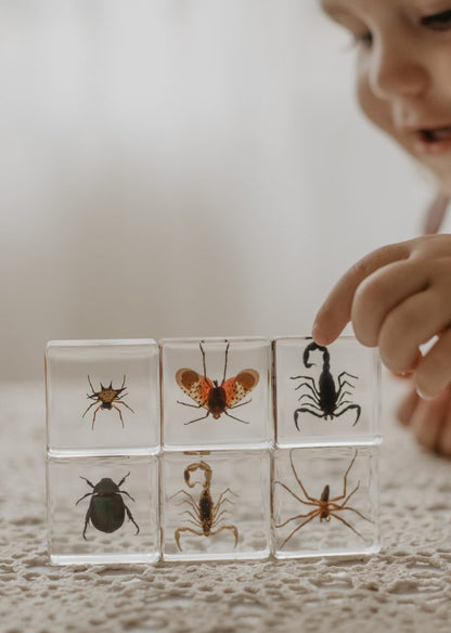 Creepy Crawlers Specimen Set