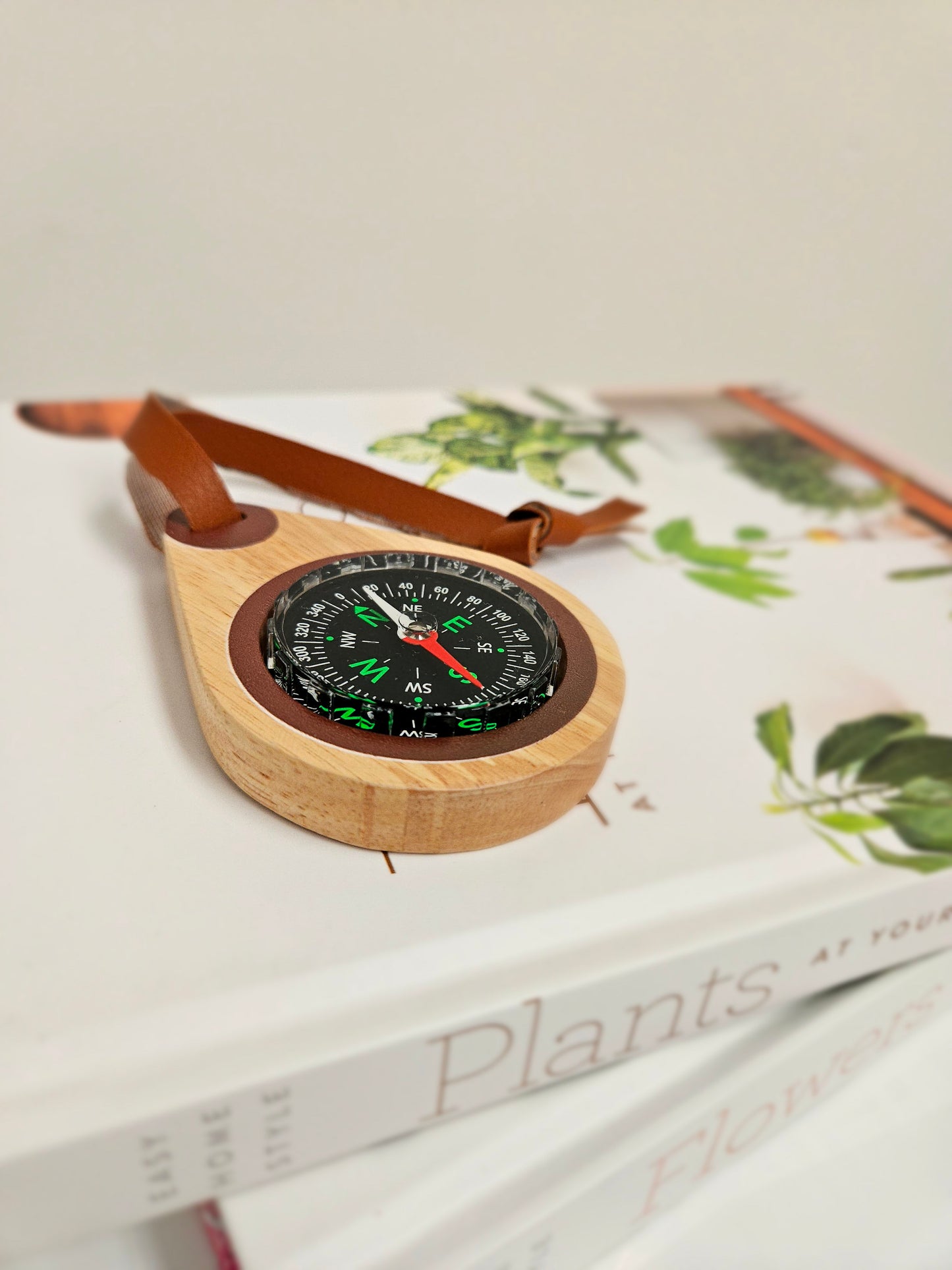 Wooden Explorers Compass