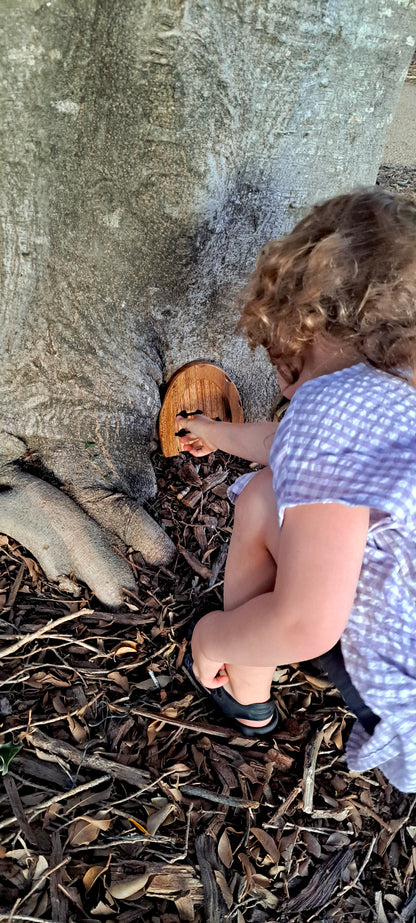 Fairy Door