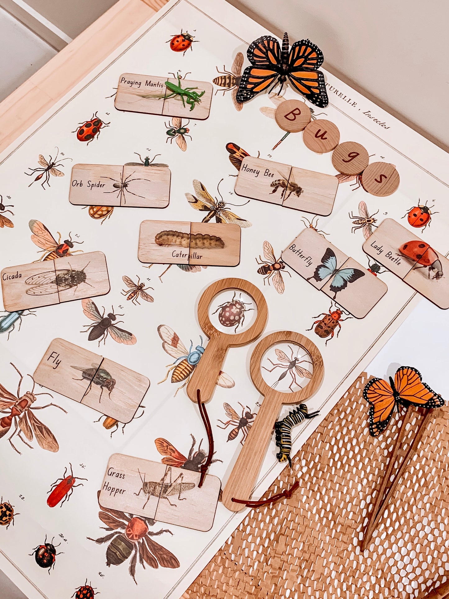 18 Piece Australian Themed Matching Puzzles- Garden Bugs, Creepy Crawlies, Sea life!