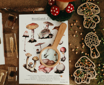 Mushroom Eco Cutters