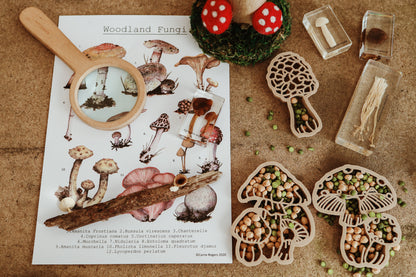Mushroom Eco Cutters