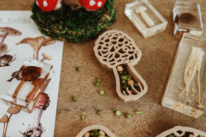 Mushroom Eco Cutters