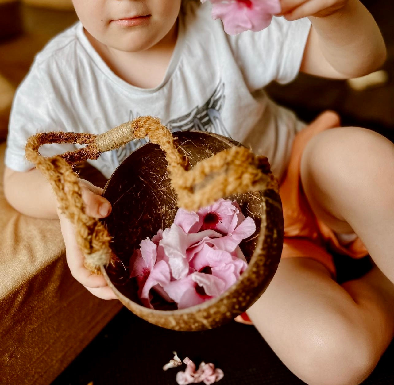 Coconut Basket