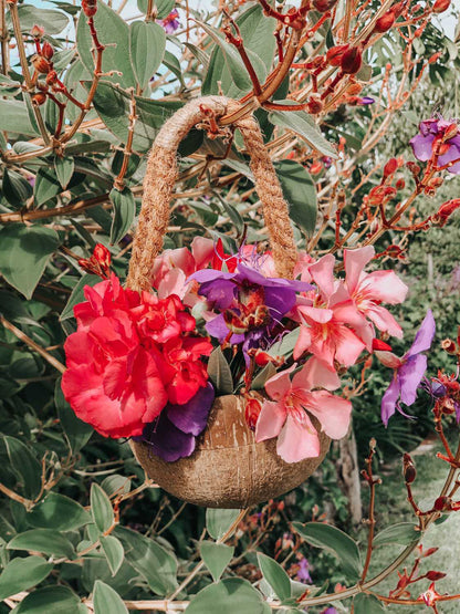 Coconut Basket