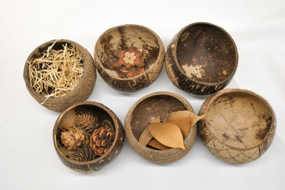 Patterned Coconut Bowls set of 6
