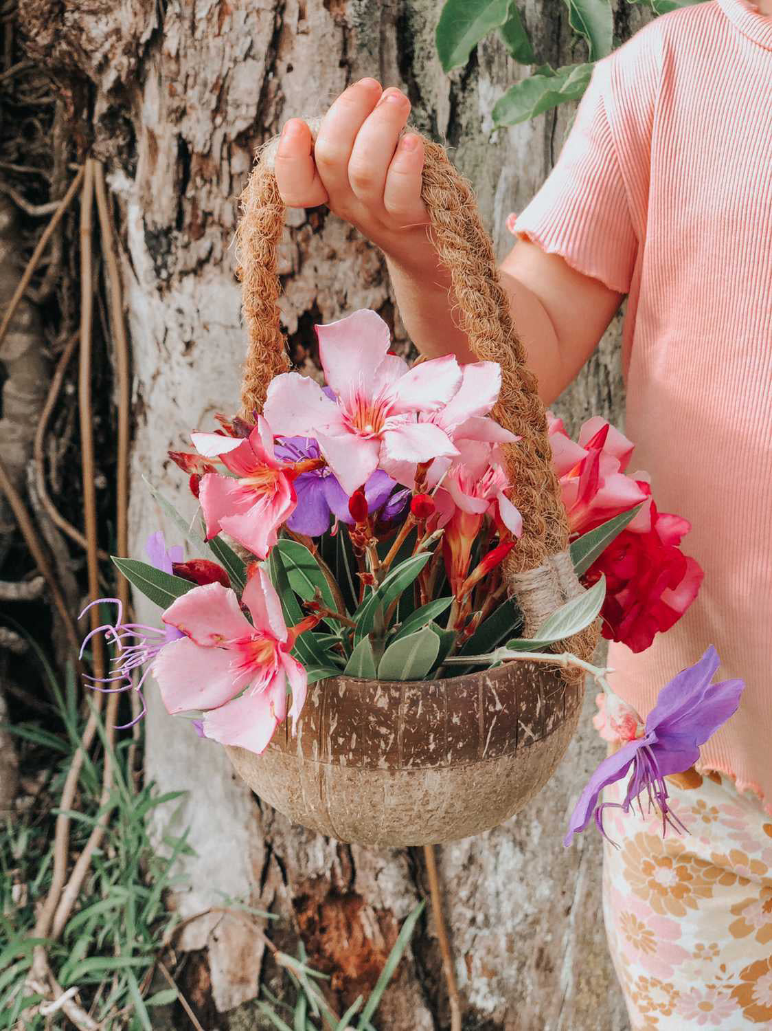 Coconut Basket