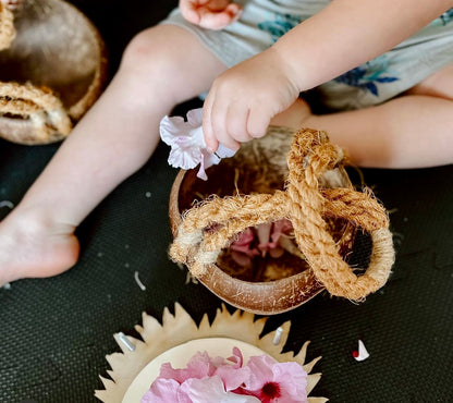 Coconut Basket