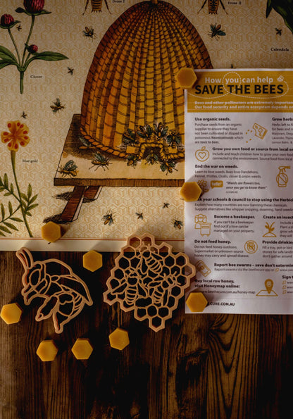 Teddy Bear Bee Eco Cutter Set