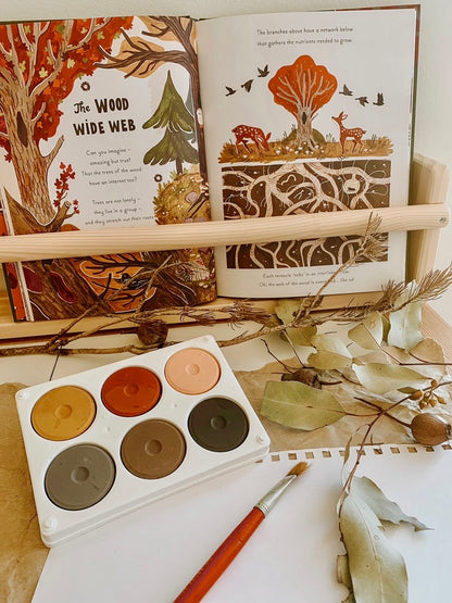 Poster Colour Palette - assorted colours available