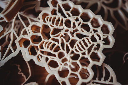 Teddy Bear Bee Eco Cutter Set