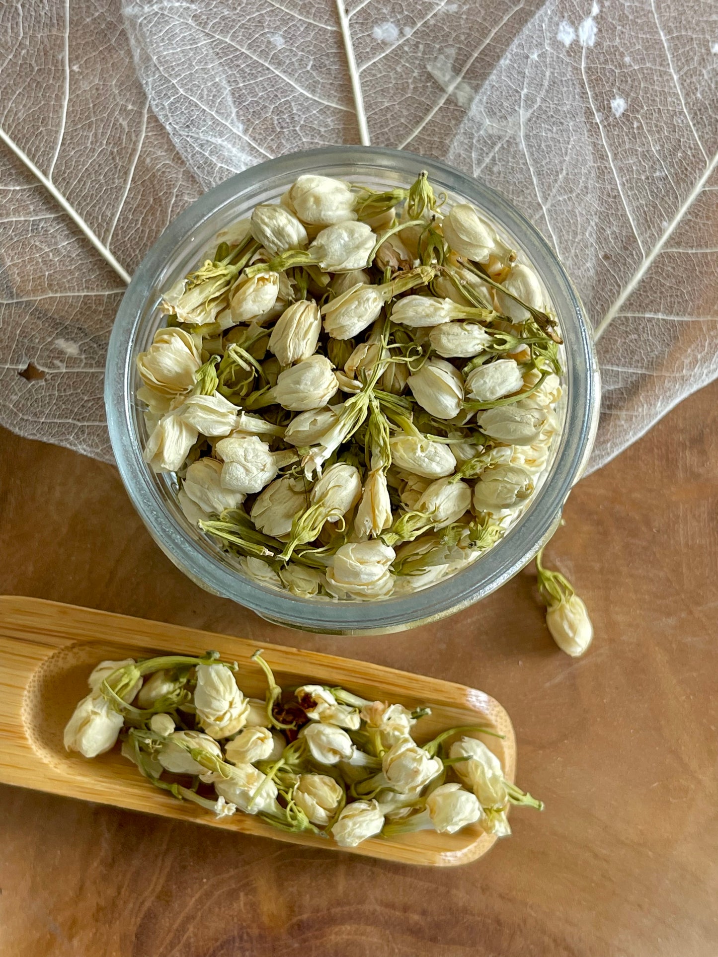 Dried Blooms- Jasmine