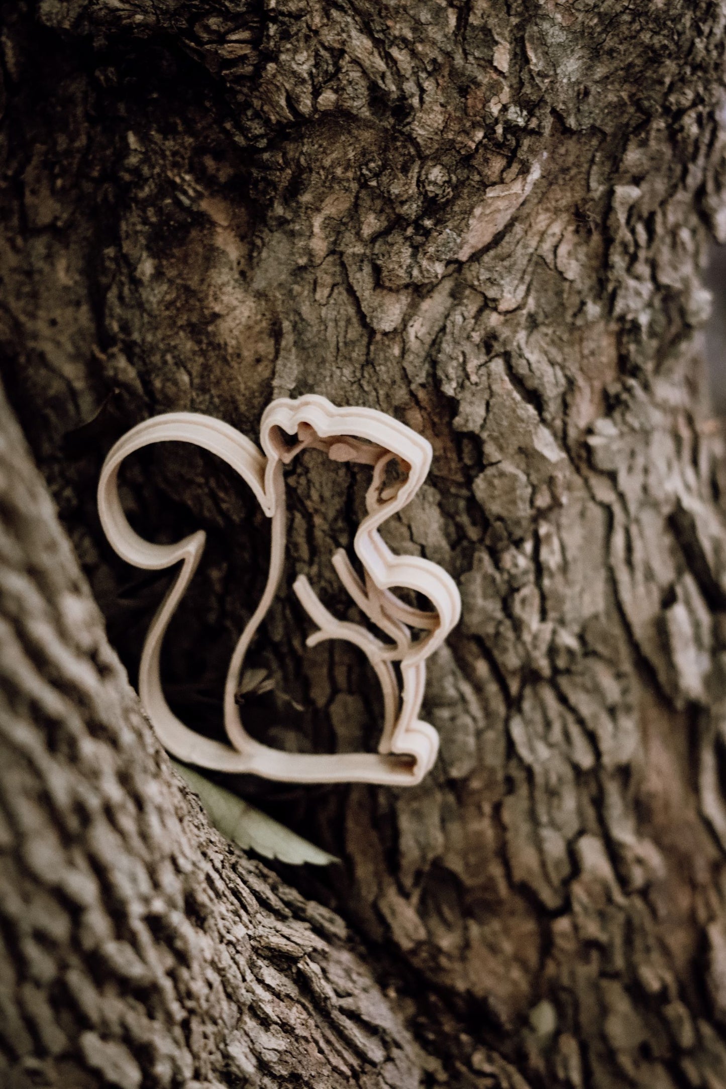 Woodland animals Eco Cutter Set