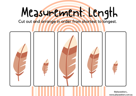 Measurement Activity Sheet- Free Download