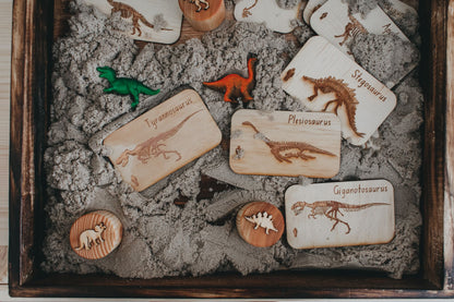 Dinosaur Digs Fossil Cards