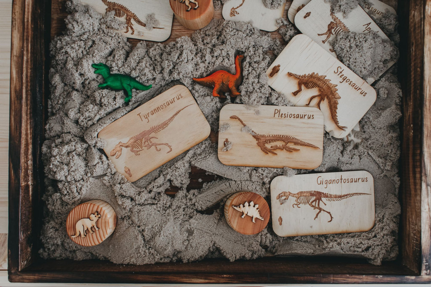 Dinosaur Digs Fossil Cards