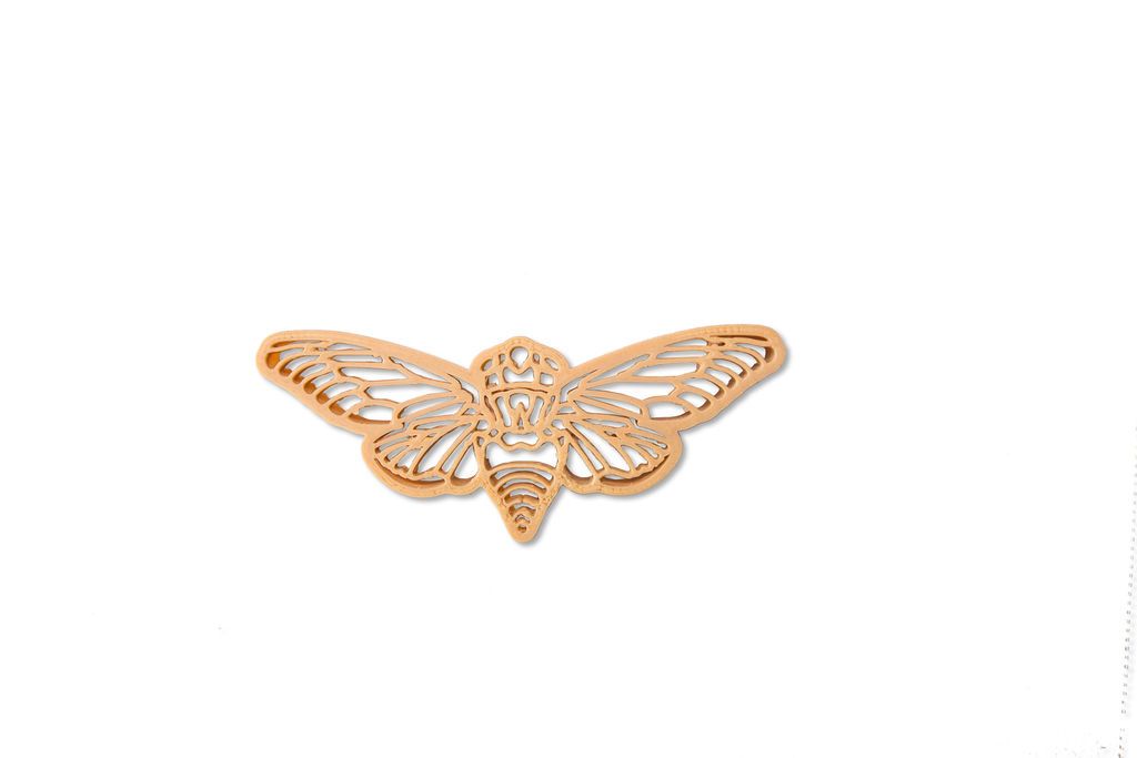 Cicada Eco Cutter Set