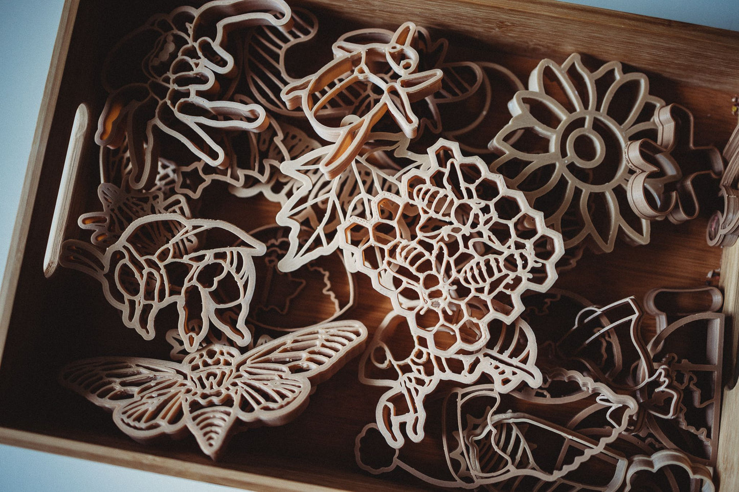 Cicada Eco Cutter Set