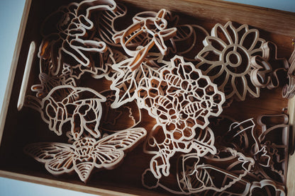 Cicada Eco Cutter Set