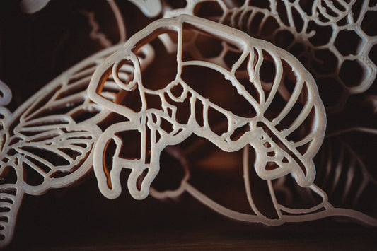 Cicada Eco Cutter Set