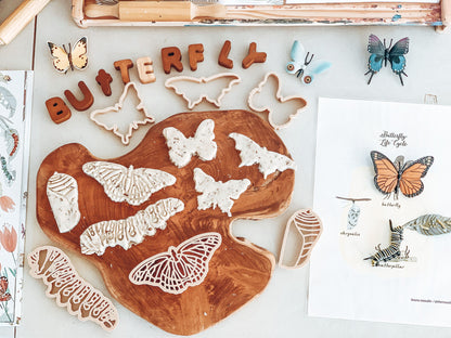Monarch Butterfly Life Cycle Eco Cutter Set