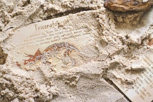 Dinosaur Digs Fossil Cards