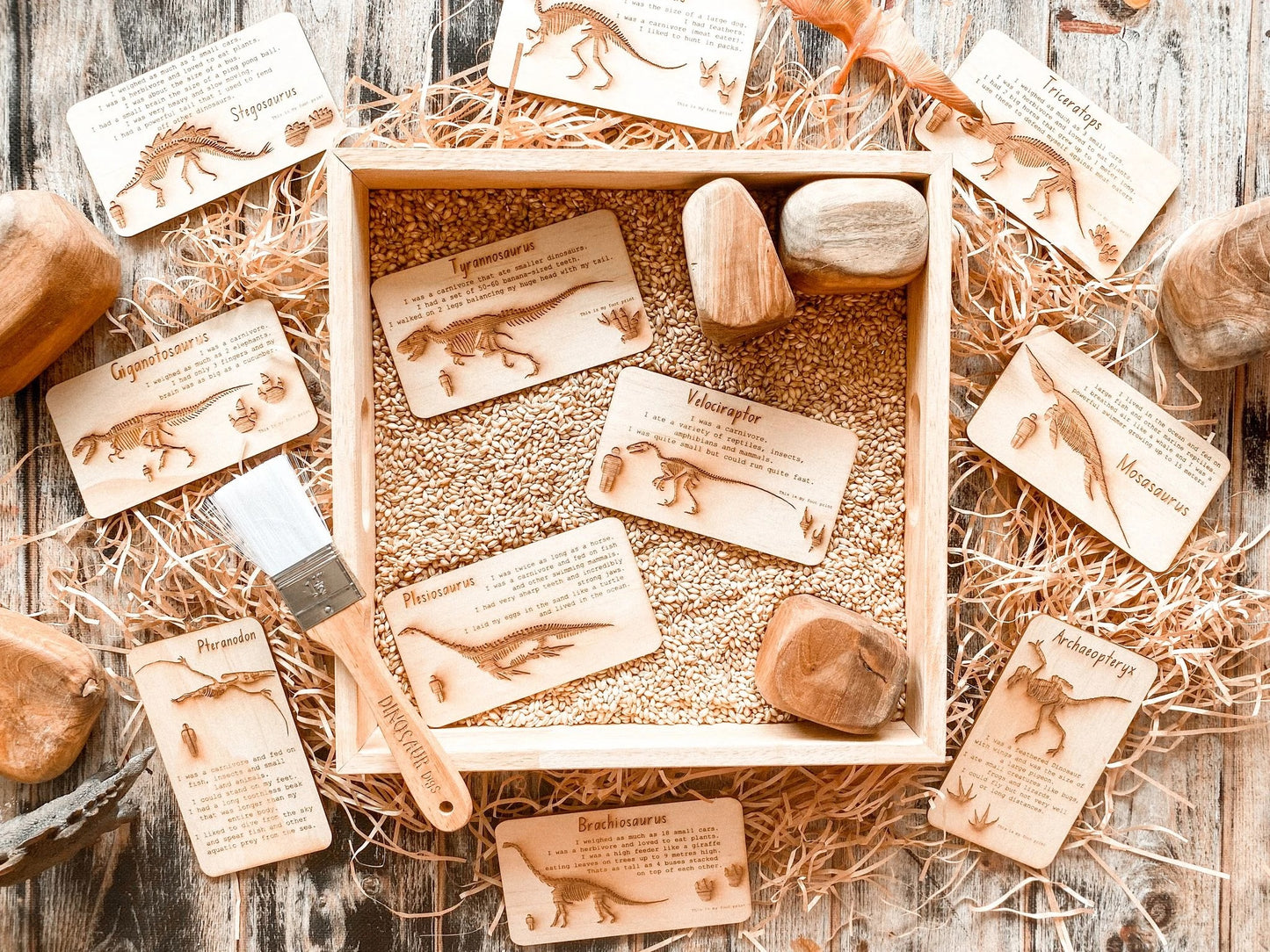Dinosaur Digs Fossil Cards