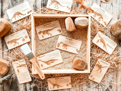 Dinosaur Digs Fossil Cards