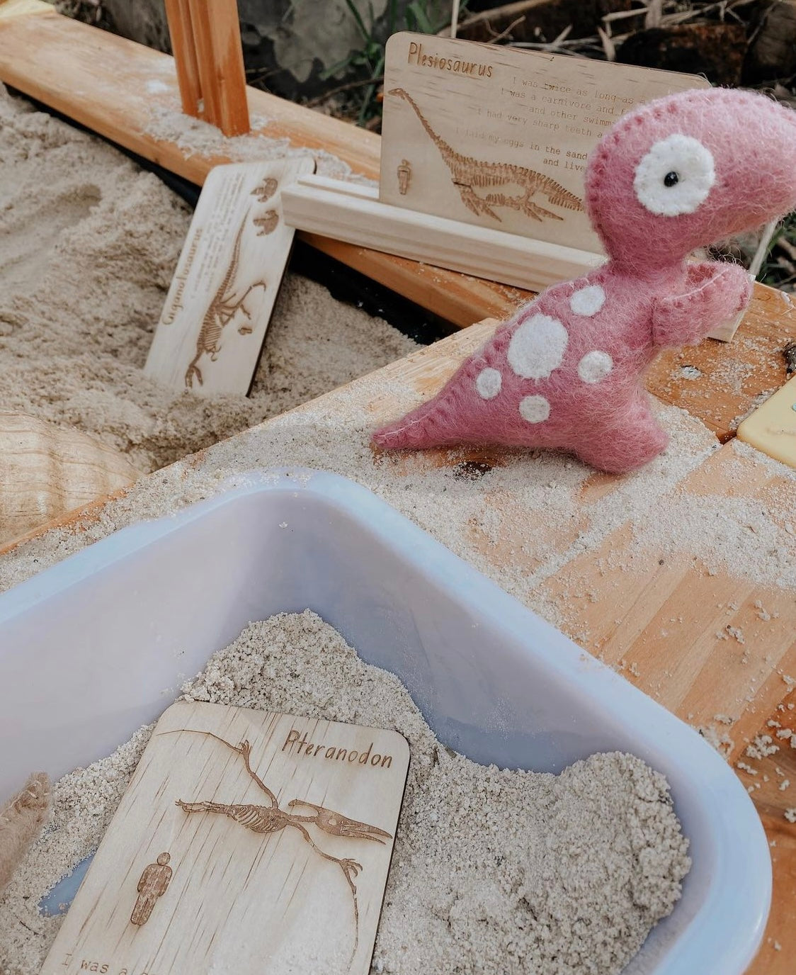 Dinosaur Digs Fossil Cards