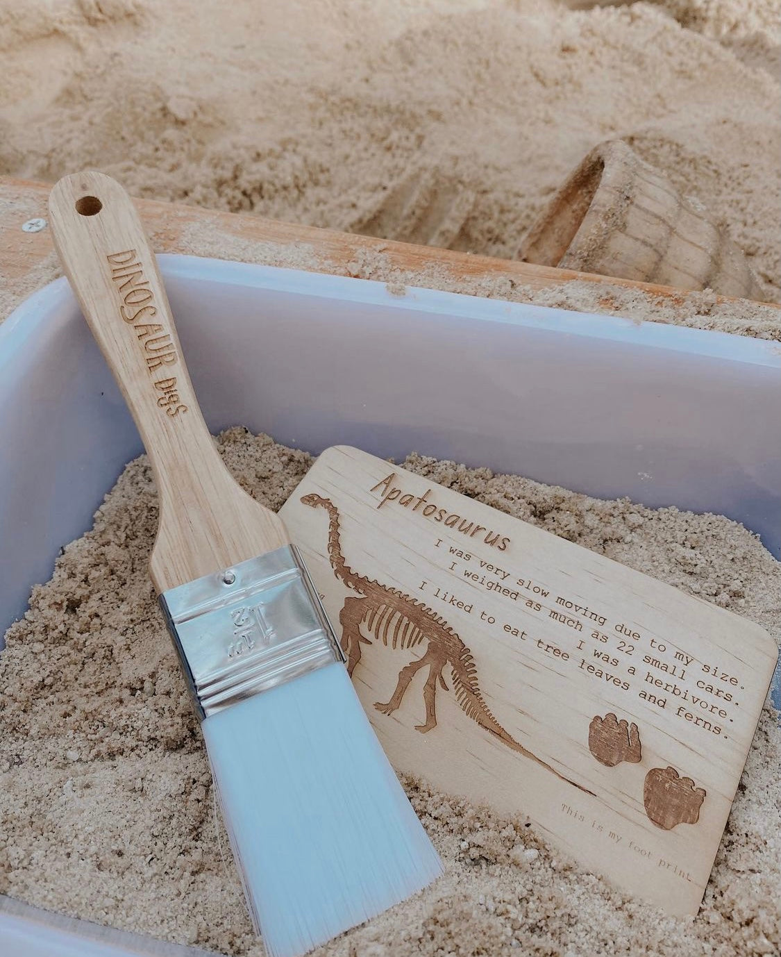 Dinosaur Digs Fossil Cards